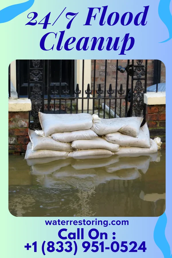 24/7 Flood Cleanup in Bellingham, MN