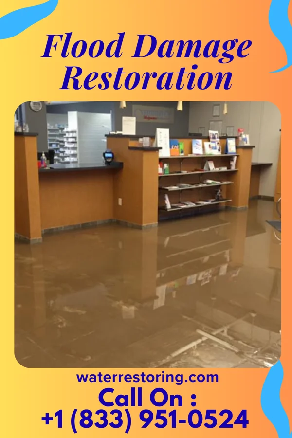Flood Damage Restoration in Bellingham, MN