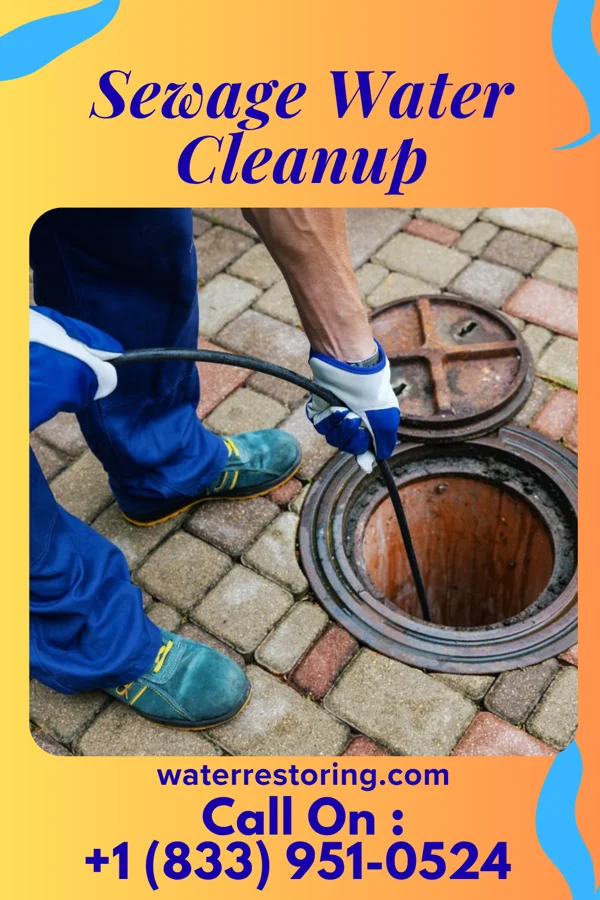 Sewage Water Cleanup in Bellingham, MN